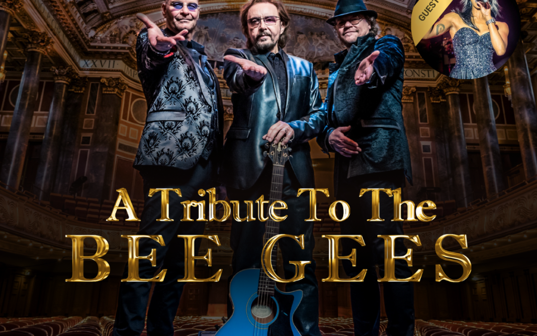 BEE GEES NIGHT FEVER